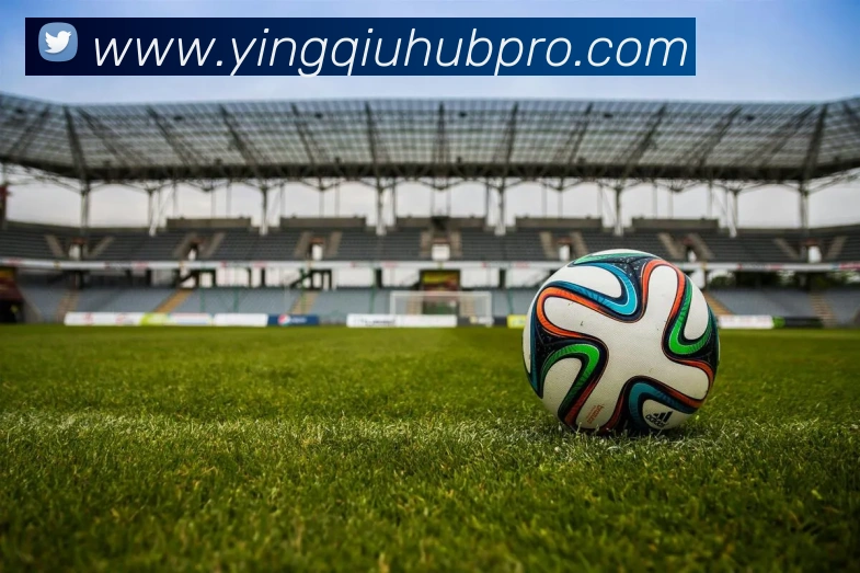 天天盈球平台生态图