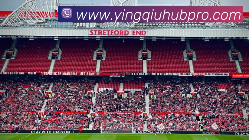 天天盈球APP 封面图